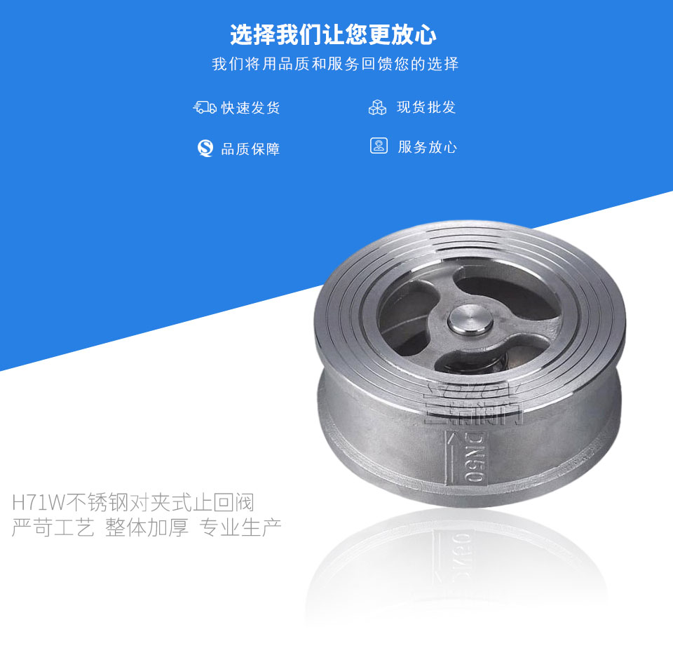 H71W不銹鋼對(duì)夾式止回閥 H71W不銹鋼對(duì)夾式止回閥