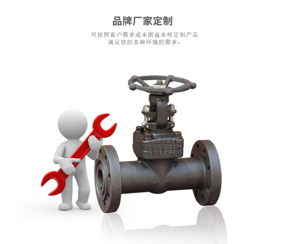 Z41Y法蘭鍛鋼閘閥可定制 Z41Y法蘭鍛鋼閘閥可定制